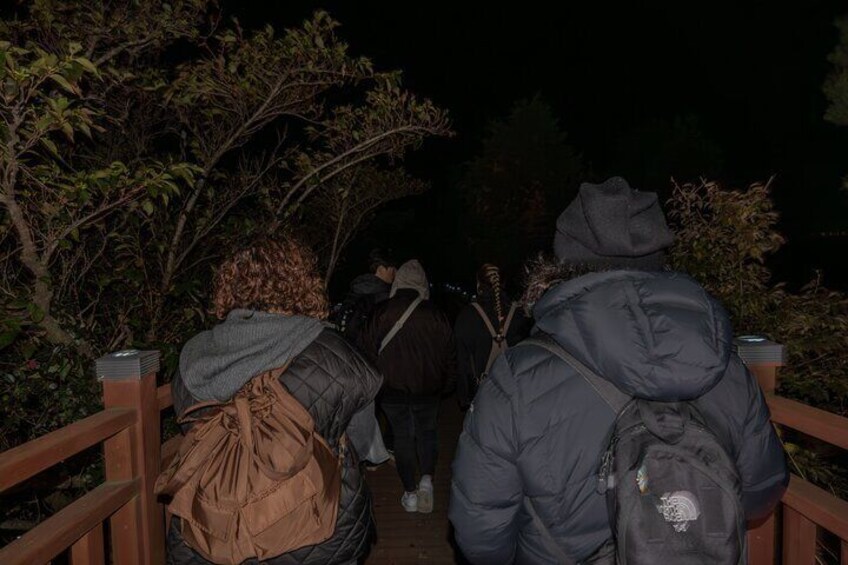 People walking on a wooden bridge at night. 2
