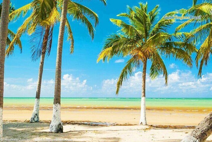 Experience Paripueira Beach Sun Sea and Natural Pools 1