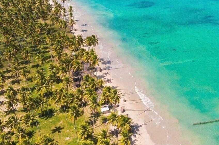 Experience Paripueira Beach Sun Sea and Natural Pools 4