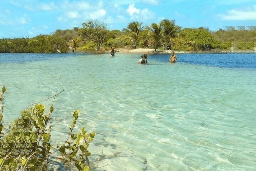 Clear tropical waters, a sandy beach, and dense greenery in the background. 3