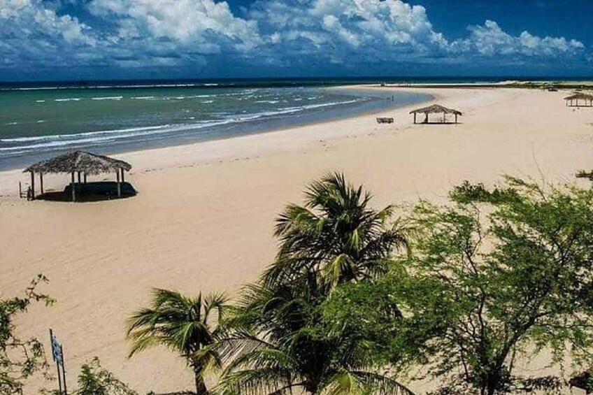 A beach with a hut, palm trees, and a clear sky. 1