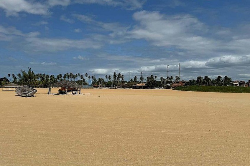 A sandy beach with palm trees, a thatched-roof hut, and a windmill in the background. 3