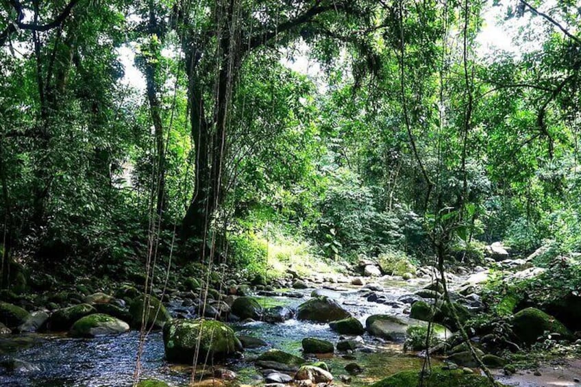 Thrilling River Rafting Adventure in Paraty 2