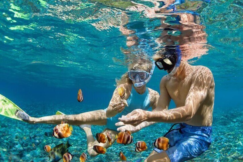 Diving in the Crystal-Clear Waters of Angra dos Reis 5
