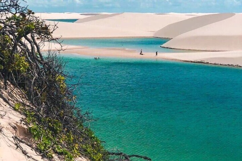 Amazing Tour of the Blue Lagoon with Paradise Stops 4