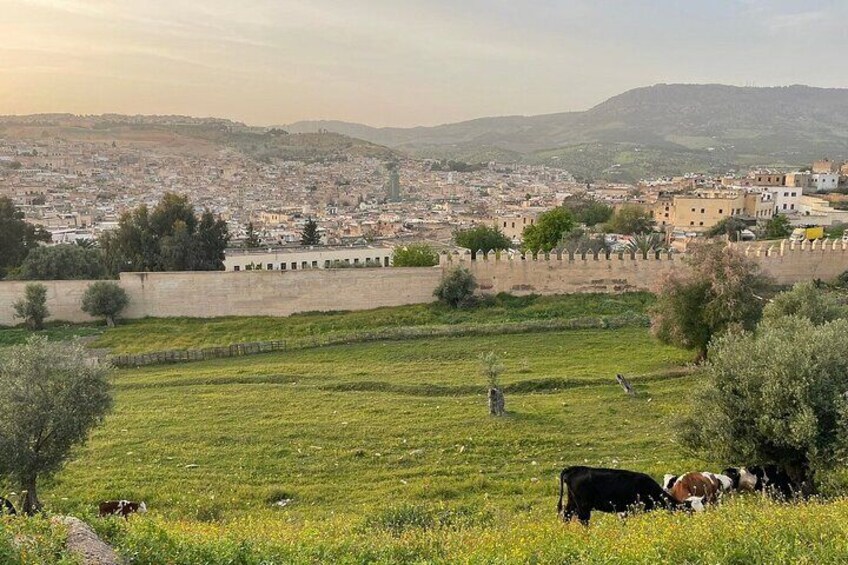 Fez Guided Tour with Lunch from Casablanca 3