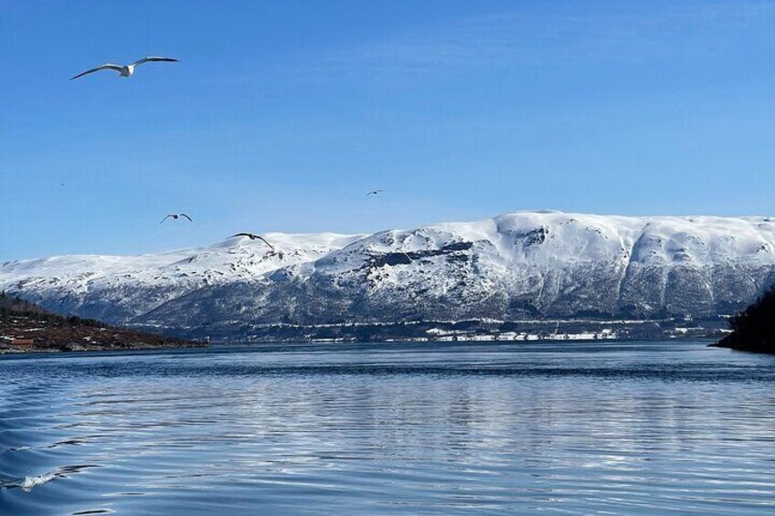 Tromso Arctic Fishing Adventure 3