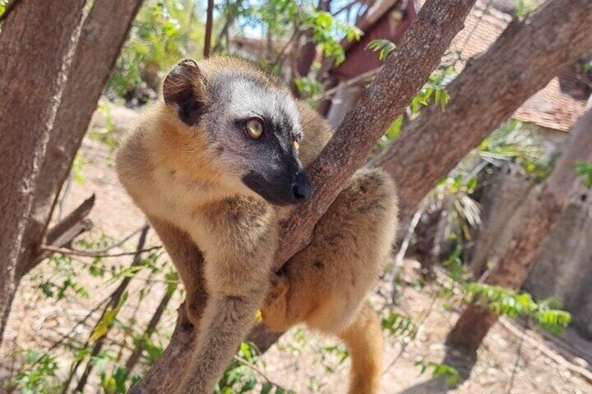 7 Days Baobab Safari by Roadtrip 5