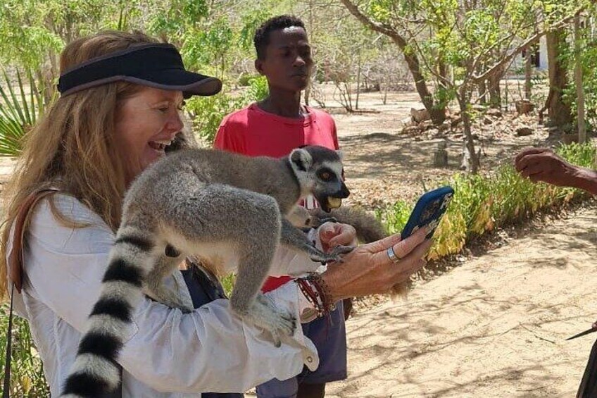 7 Days Baobab Safari by Roadtrip 2