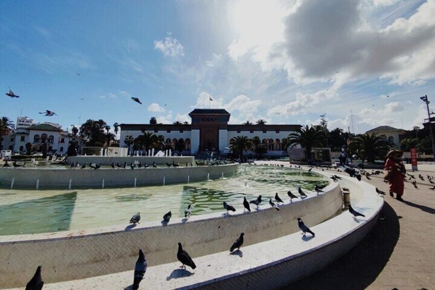 Discover Casablanca: Mosque & City Tour 5
