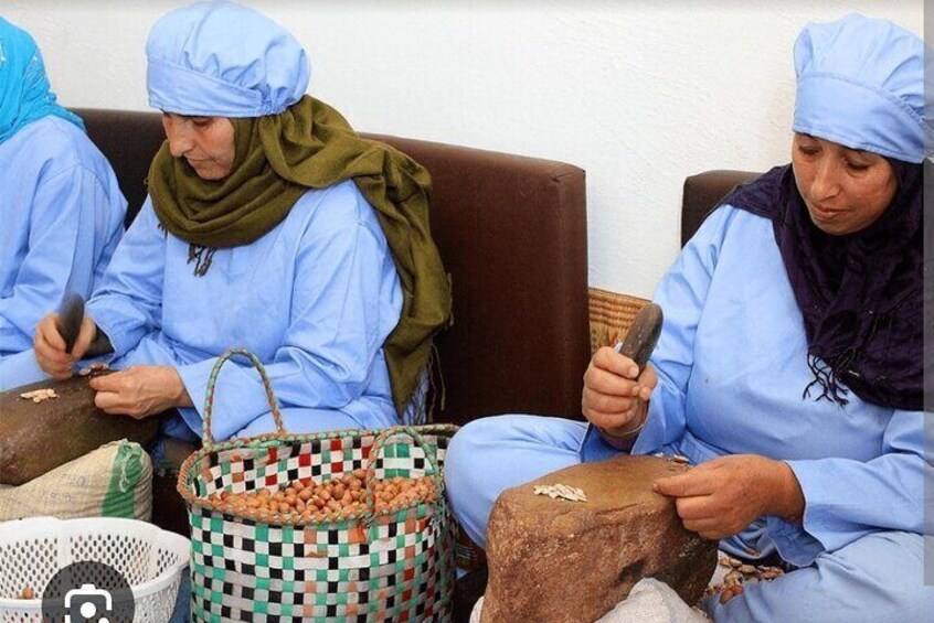 Agadir Traditional Souk El Had and Argan Cooperative Experience 5