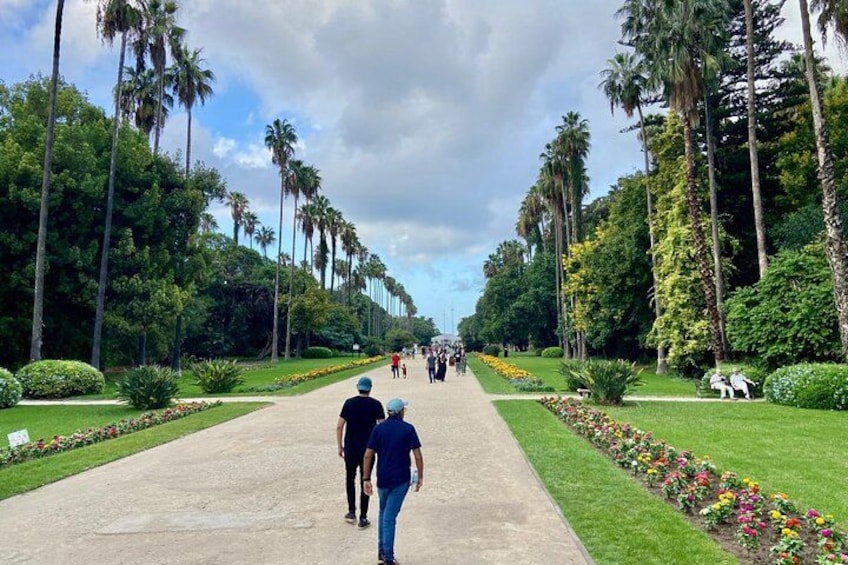A pathway lined with palm trees and flower beds, leading to a distant group of people. 5