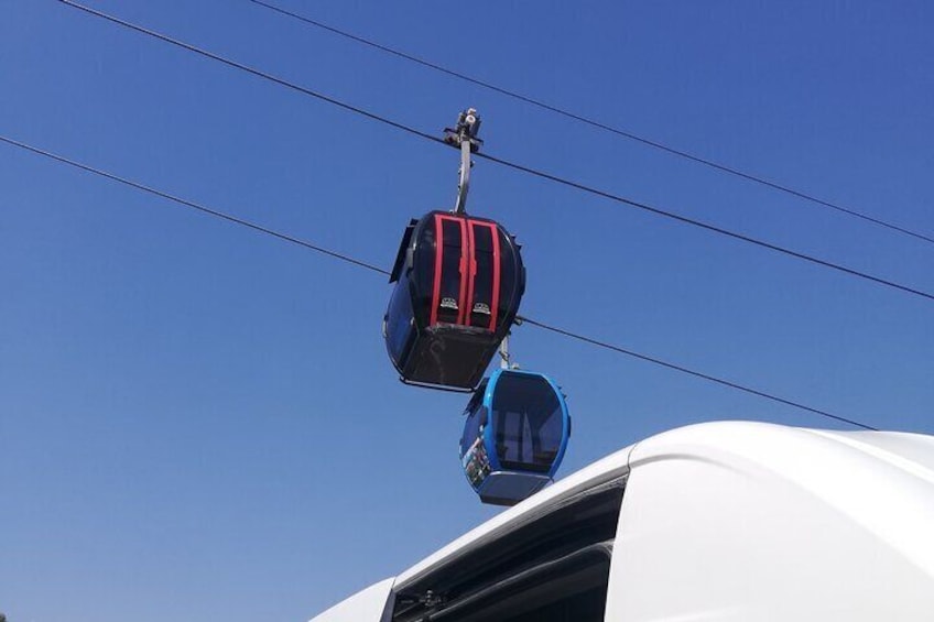 Goat on Tree and Cable Car Experience with Agadir Market 1
