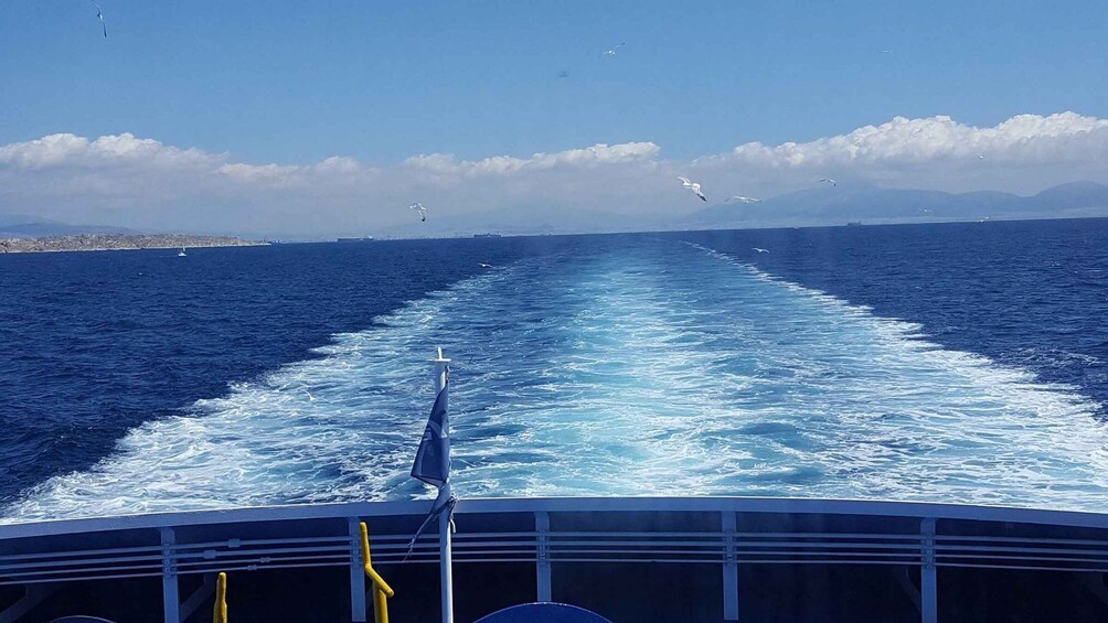 A ship's wake in the ocean with birds flying overhead and mountains in the distance. 5