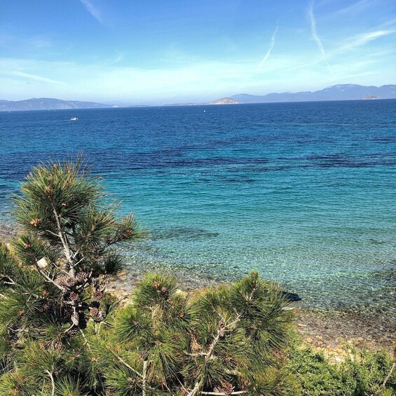A clear blue sea with a rocky shoreline, pine trees, and distant mountains. 2