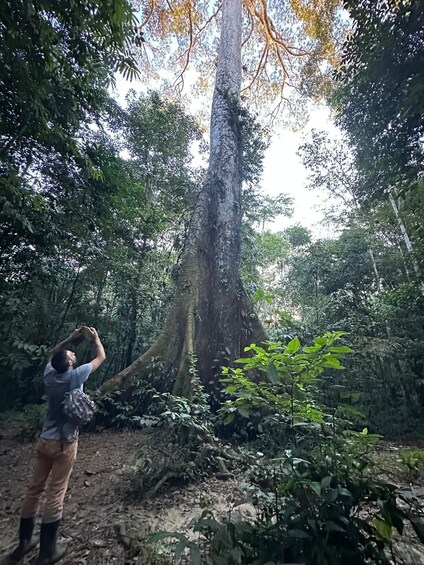 Picture 62 for Activity Puerto Nariño: Three days Amazon Jungle and Lakes tour 2
