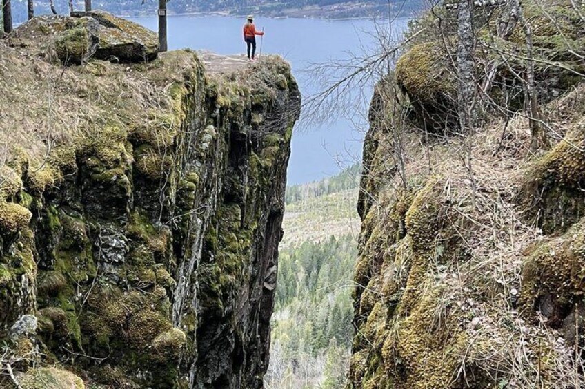 Guided Hike Discover Oslo Scenic Forests 1