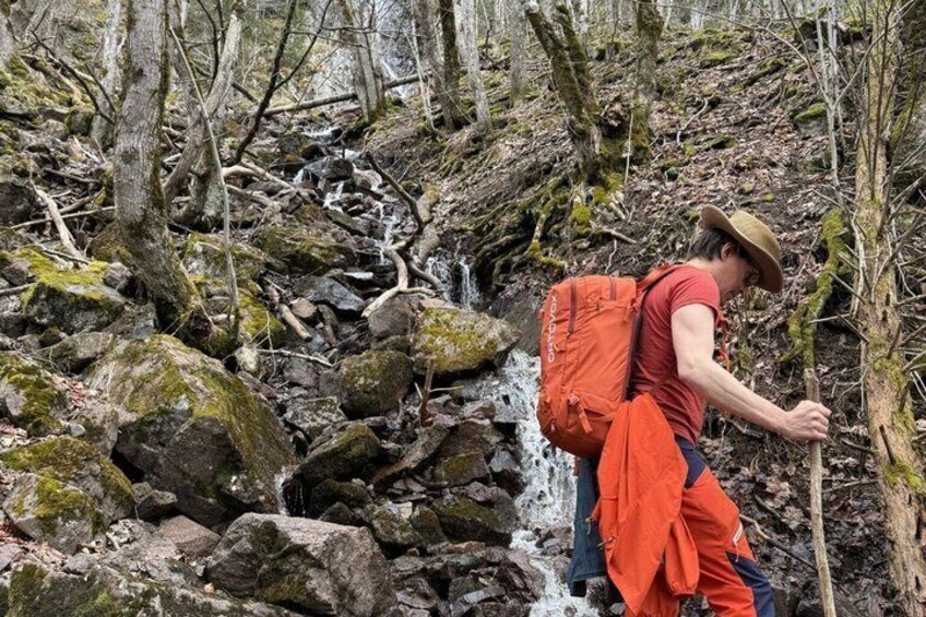 Guided Hike Discover Oslo Scenic Forests 2