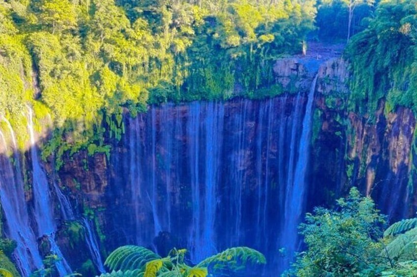 A waterfall cascading down a cliff surrounded by lush greenery. 5