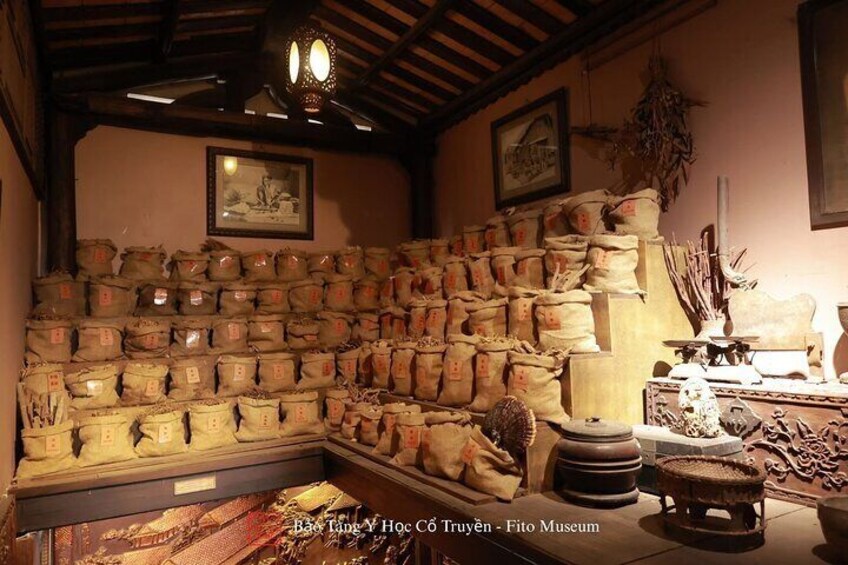 Fito Medical Museum, Water Puppet Show, Water Bus Boat Tour 1