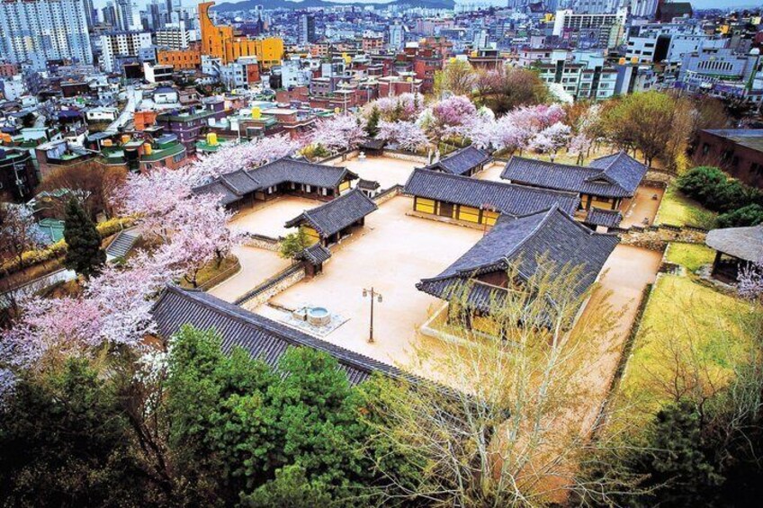 Incheon Private Tour from Airport to Seoul with Licensed guide 4
