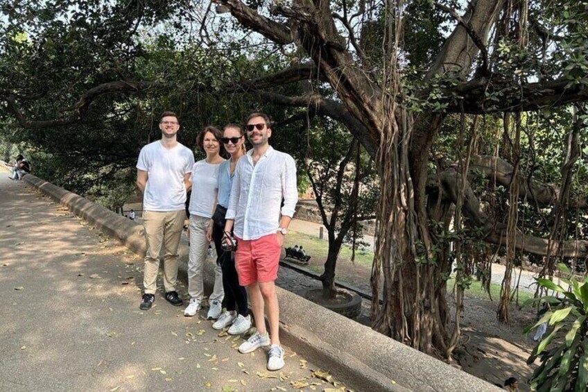 Four people standing on a pathway under large trees. 5