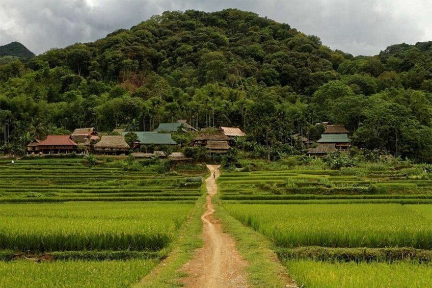 Sapa City Sightseeing Motorbike Private Tour With Local Guide 5