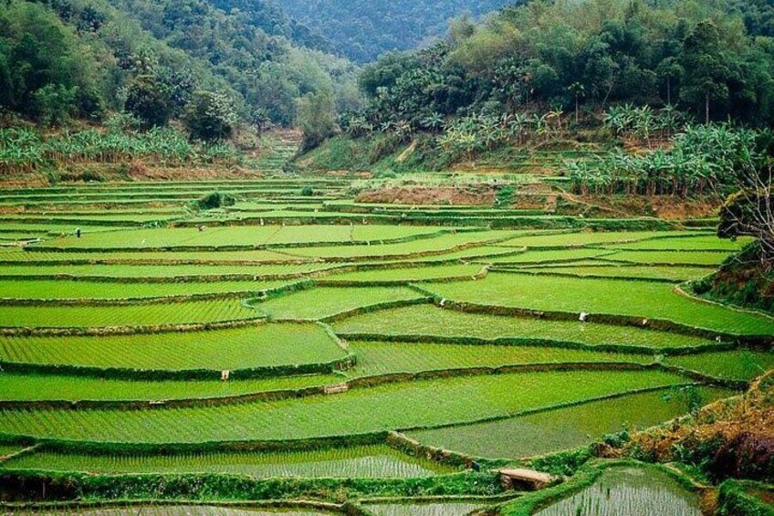 Sapa City Sightseeing Motorbike Private Tour With Local Guide 3