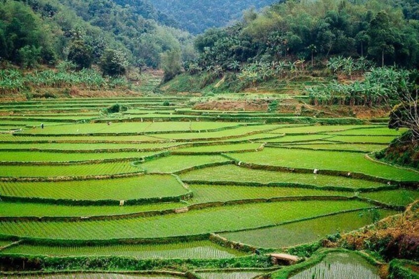 Sapa City Sightseeing Motorbike Private Tour With Local Guide 3