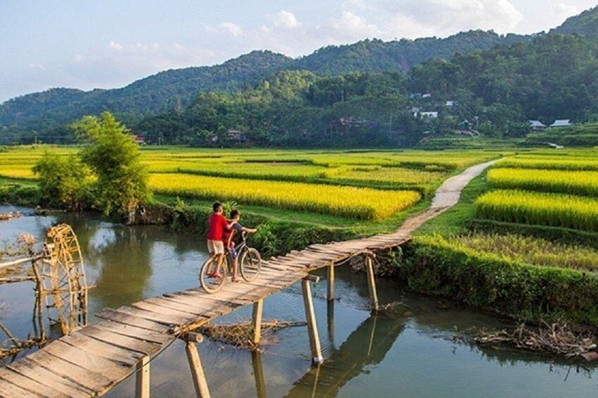 Sapa City Sightseeing Motorbike Private Tour With Local Guide 4