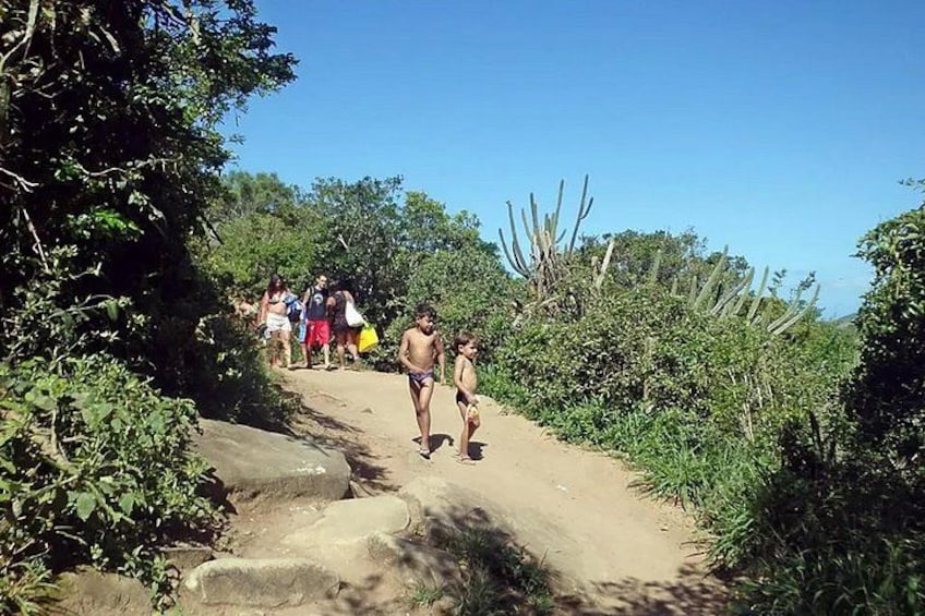 A dirt path with people walking, surrounded by greenery and cacti. 5