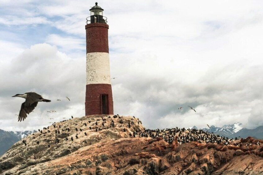 A lighthouse on a rocky outcrop with birds flying around. 5