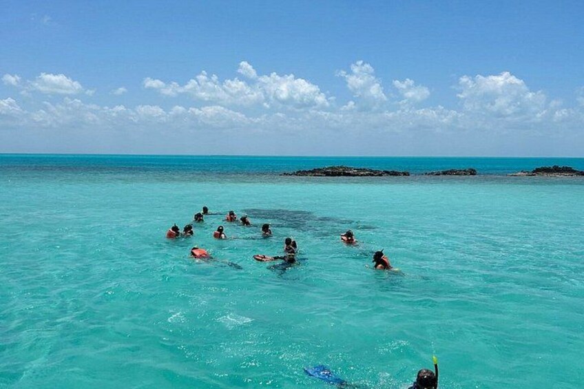 People swimming in turquoise water with a clear sky and distant rocky outcrops. 2