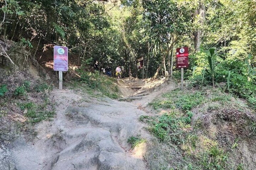 A dirt path leading through a forested area with signs indicating a trail and a picnic area. 5