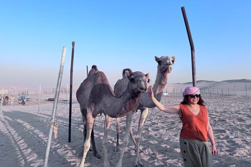 Private- Half Day Evening Desert Safari & BBQ Dinner 3
