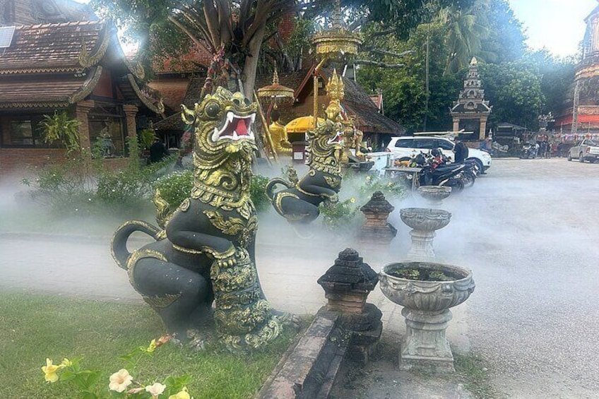 Old Town Chiang Mai Food Tour with 10+ Local Dishes Tastings 2