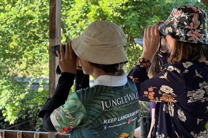 A person wearing a hat and a jacket with 'Junglewall' text, standing outdoors with trees in the background. 3