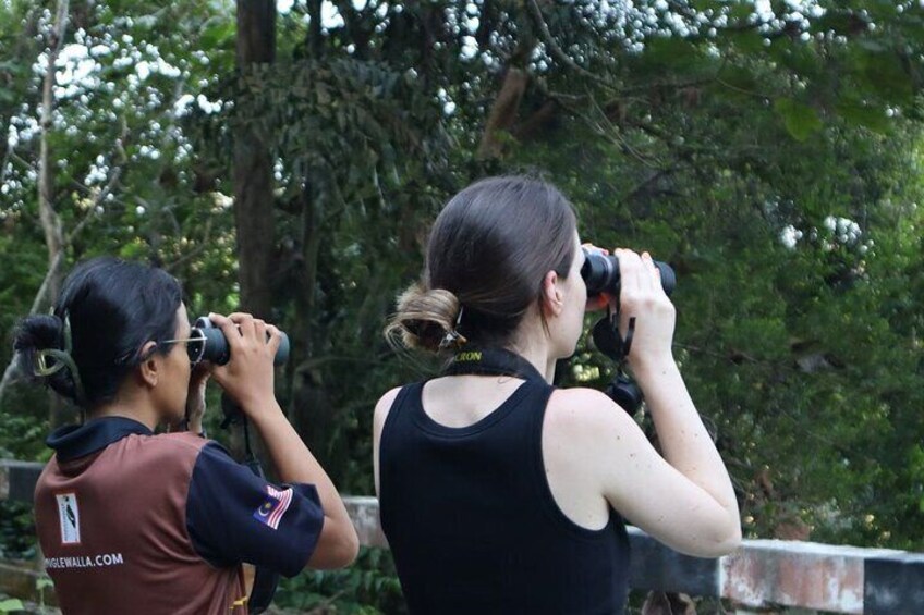 Two people using binoculars, standing outdoors with trees in the background. 2