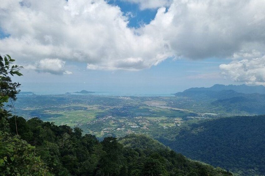 JungleWalla Langkawi Rainforest Afterdark 5
