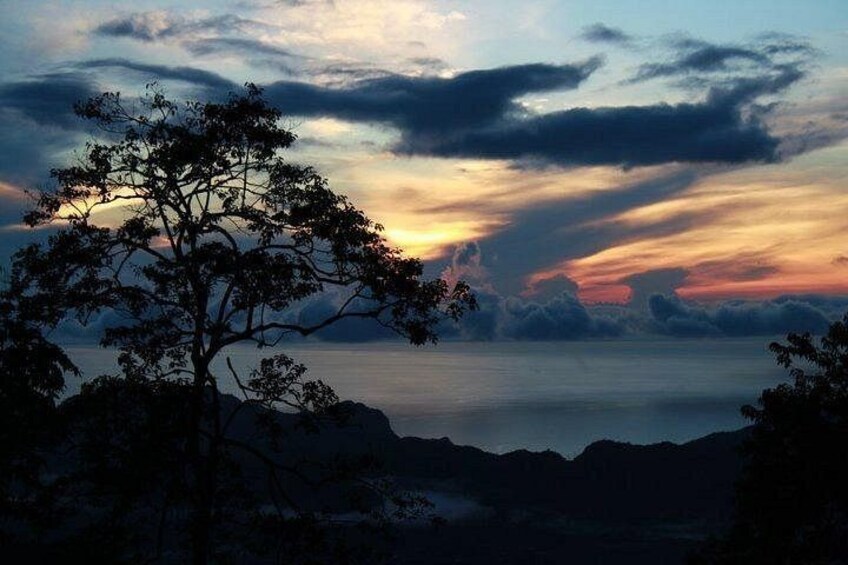 A tree silhouette against a sunset sky, calm water, and distant mountains. 2