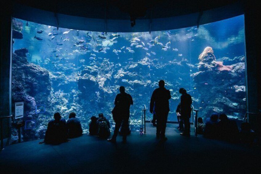 AquaFoz VIP Experience with Guided Tour 3