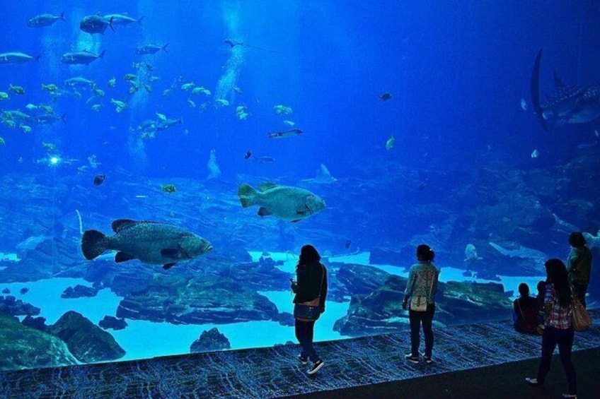 AquaFoz VIP Experience with Guided Tour 1