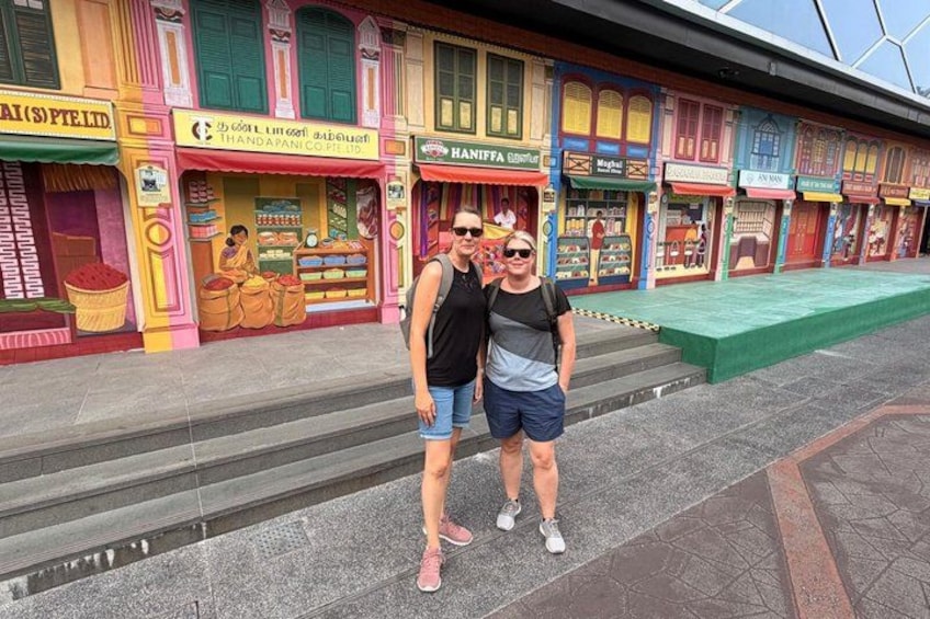 Singapore City Tour Cultural Discovery & Gardens by the Bay 3