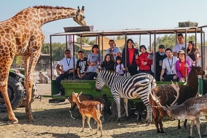 Safari Park Full Day Experience 1