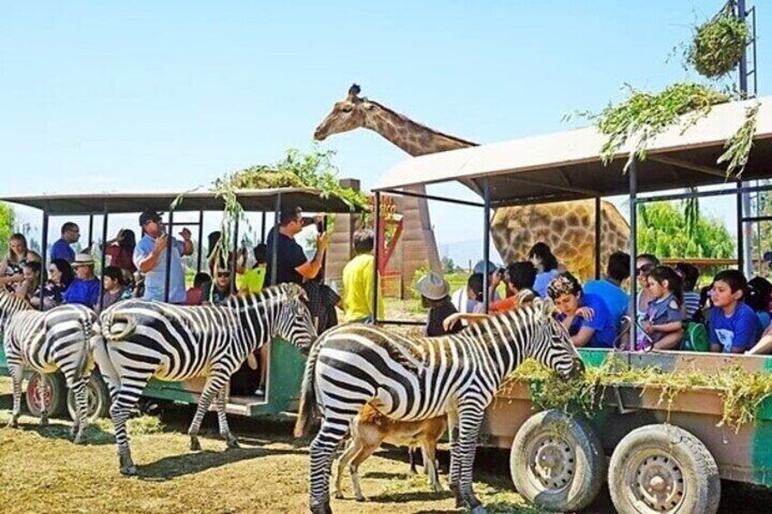 Safari Park Full Day Experience 3