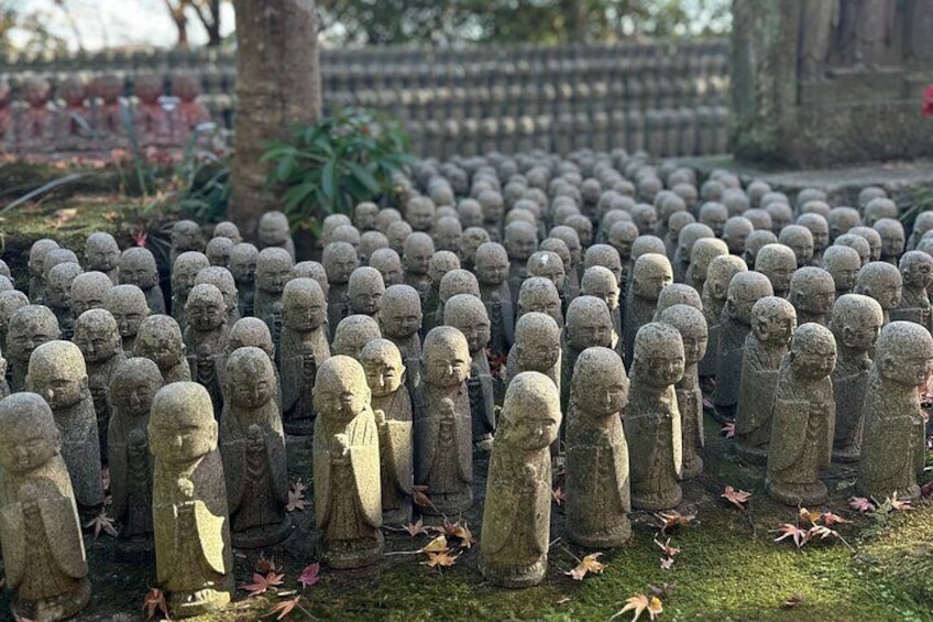 Private Kamakura Enoshima Tour from Tokyo w/ pickup & local guide 4