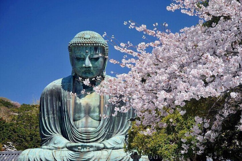 Private Kamakura Enoshima Tour from Tokyo w/ pickup & local guide 1