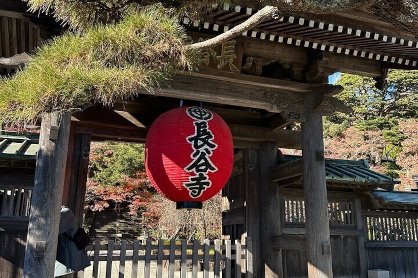 Private Kamakura Enoshima Tour from Tokyo w/ pickup & local guide 3