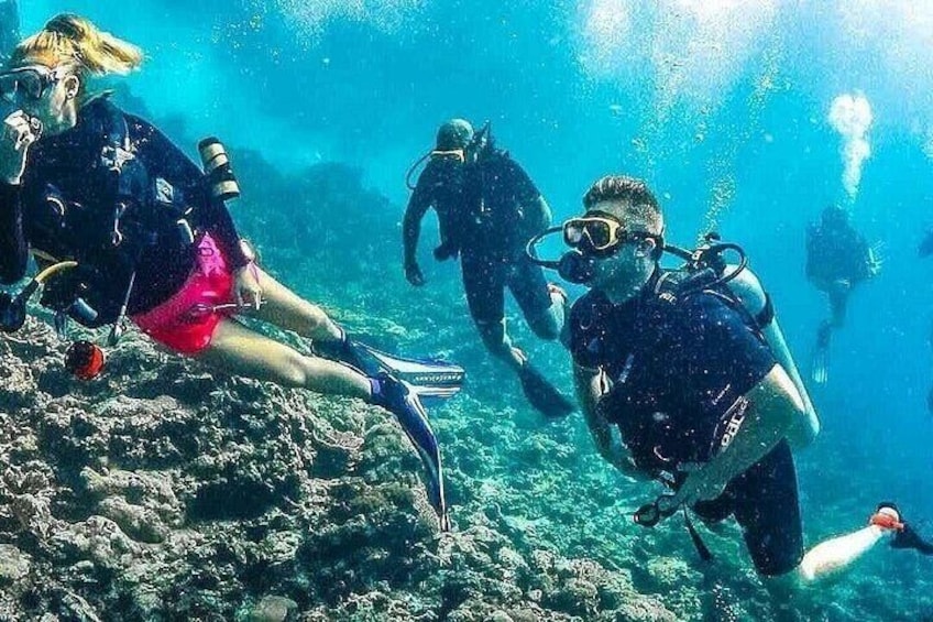 Divers underwater with coral reefs and marine life. 3