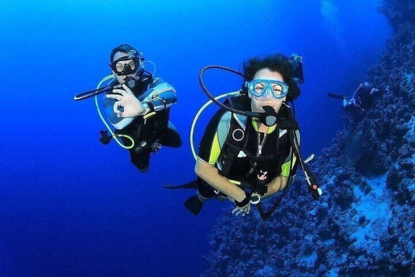 Two scuba divers underwater with coral formations in the background. 1
